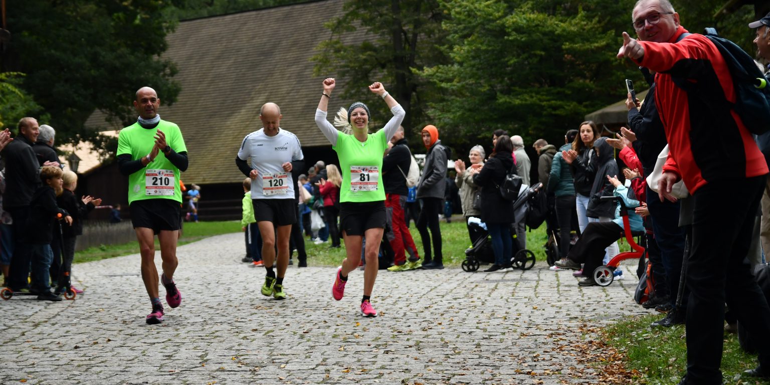 DSC_5006bearbeitet-1536x768